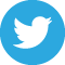Twitter icon
